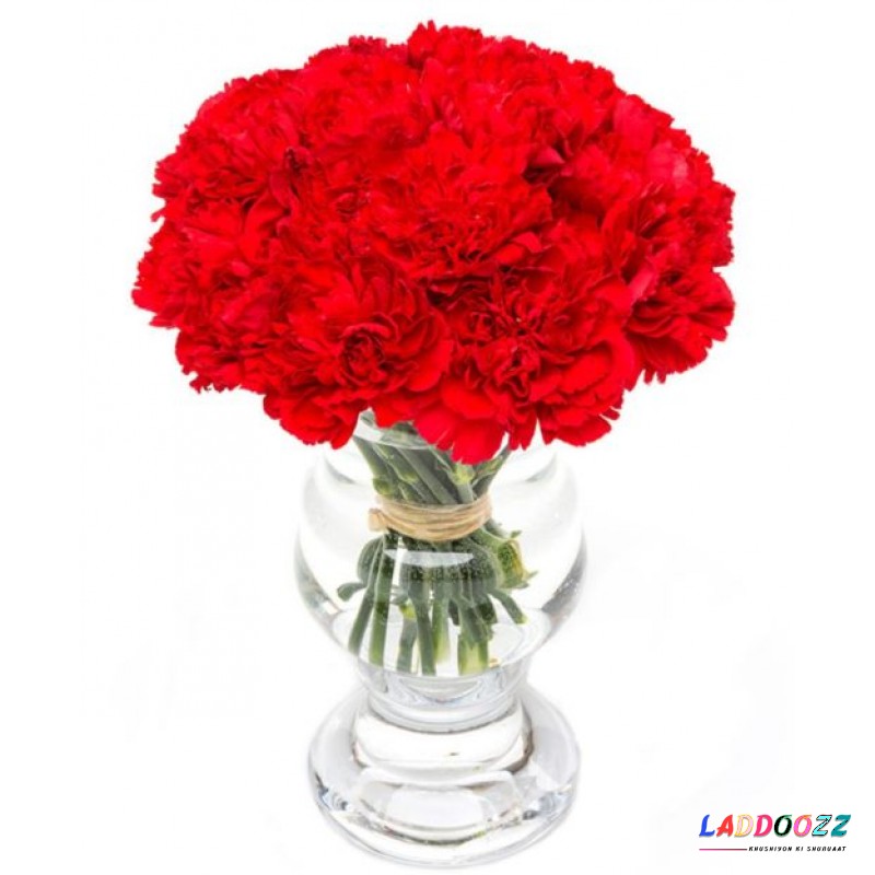Red Carnations for Home or Office